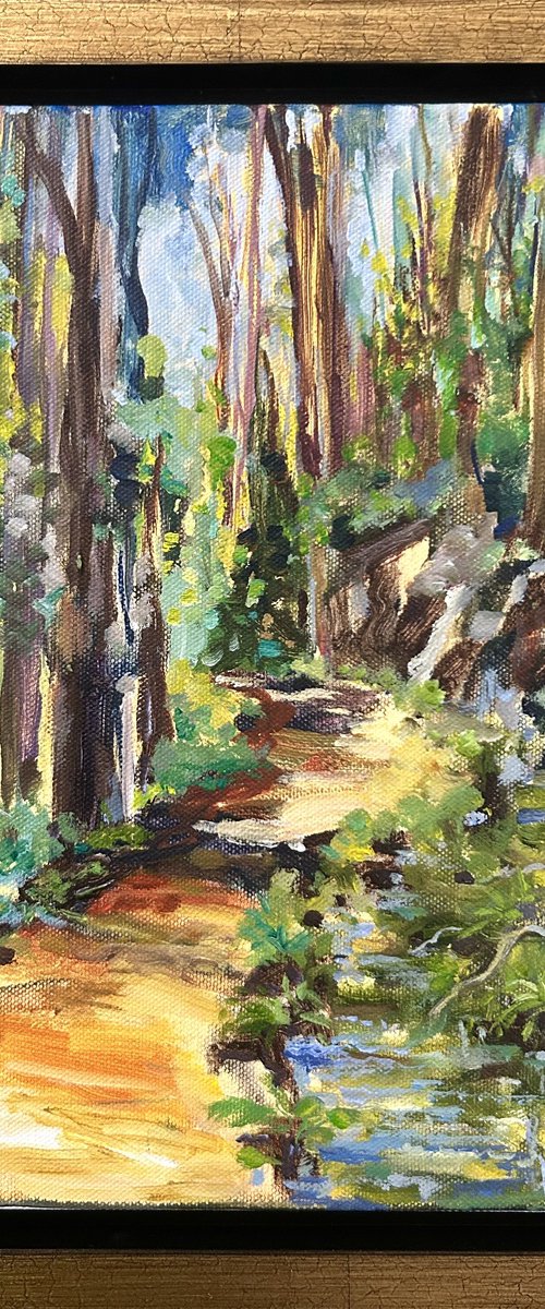 Cascade Ditch Trail by Annette Wolters