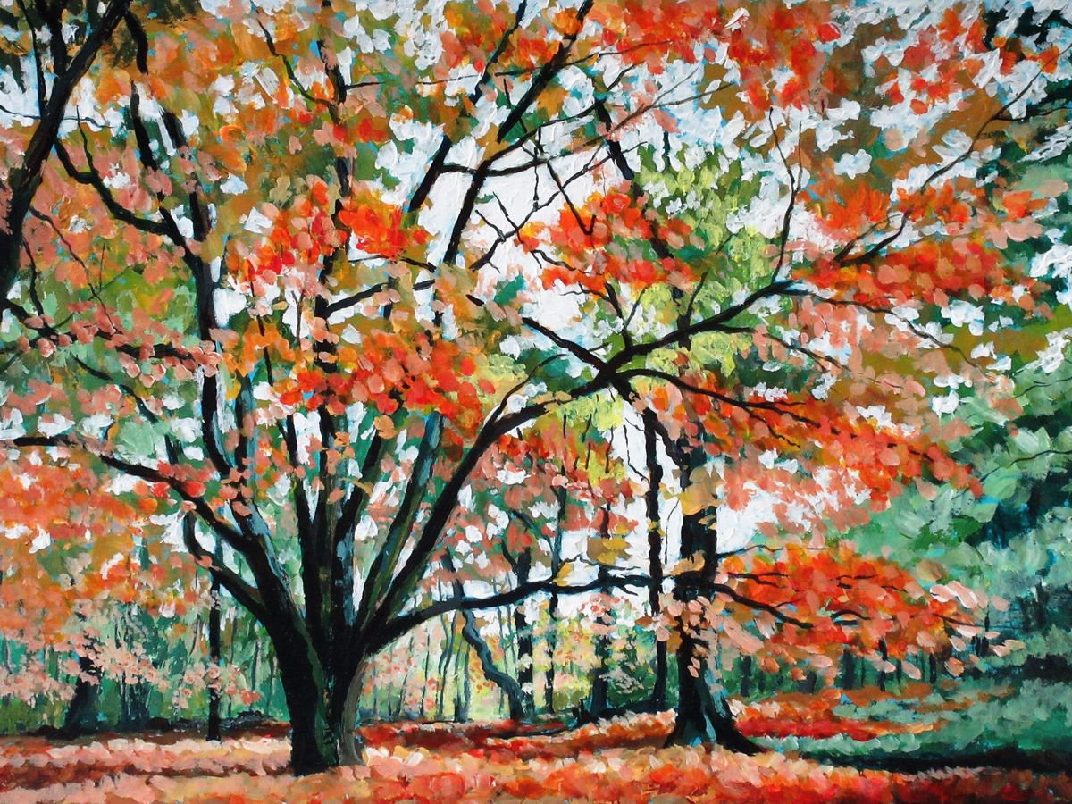 Autumn Colours Alderley Edge by Max Aitken