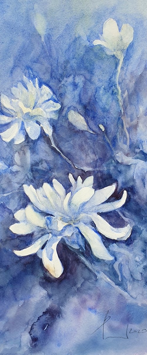 watercolour MAGNOLIA in BLUE  flower painting 30x45/ 2020.016 by Beata van Wijngaarden