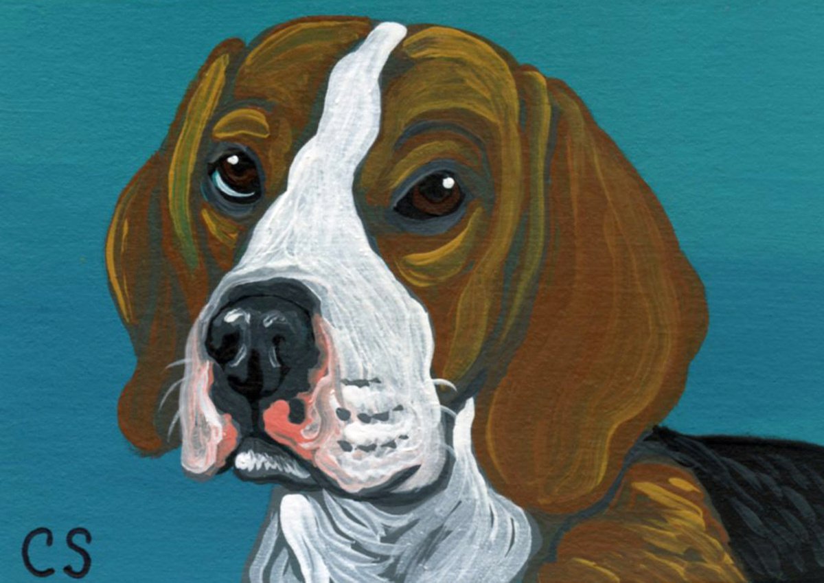 ACEO ATC Original Miniature Painting Beagle Pet Dog Art-Carla Smale by carla smale