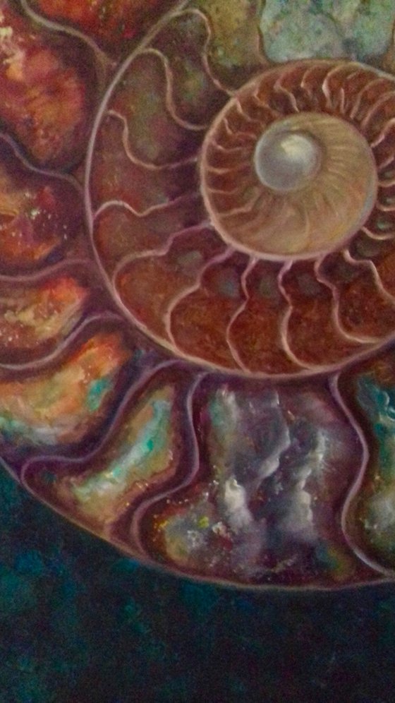 Ammonite II