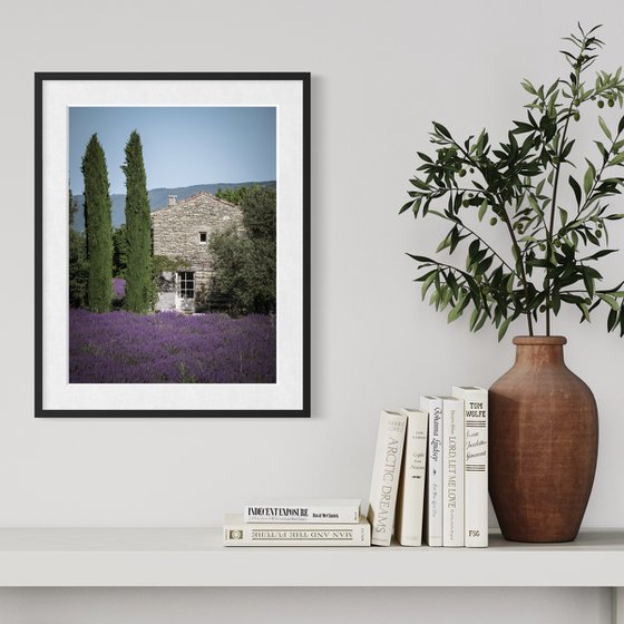 THE BEAUTIFUL FRENCH HOUSE