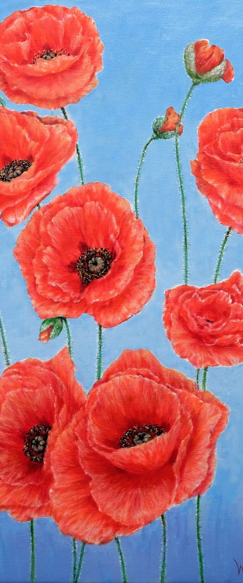 Poppies on blue. by Anastasia Woron