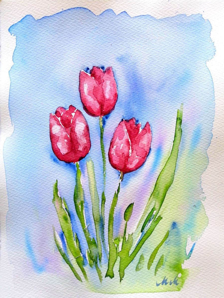Red tulip by Mateja Marinko