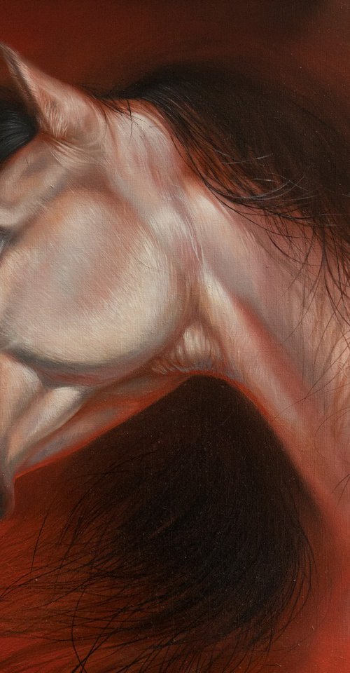 Horse Portrait by Anastasia Parfilo