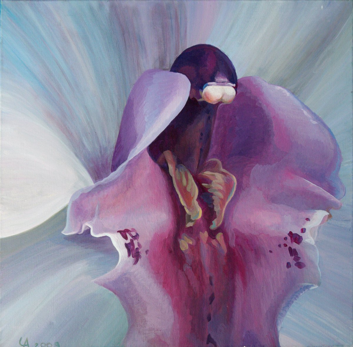  White Bloom Ii - Orchid By Anastasia Chernysheva, 24 X 24, Artwork For Sale On Artfinder