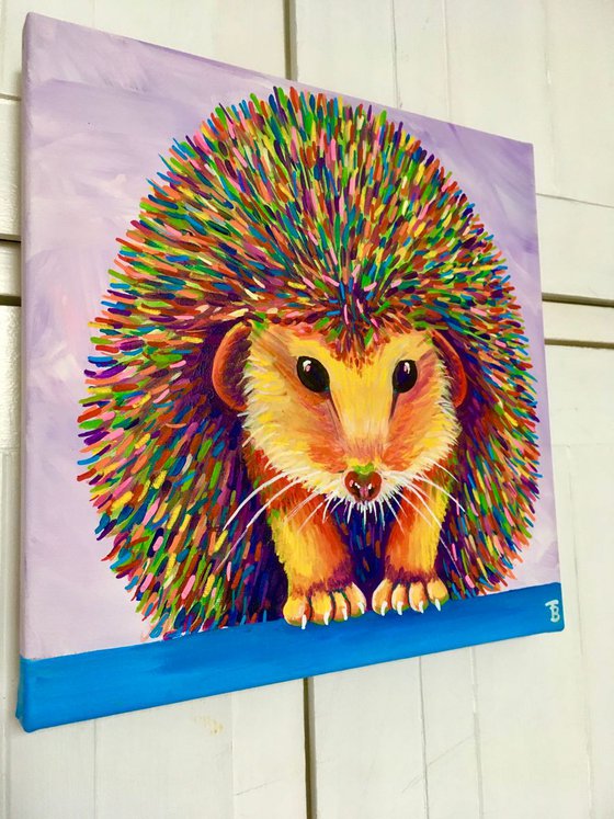 Rainbow Hedgehog