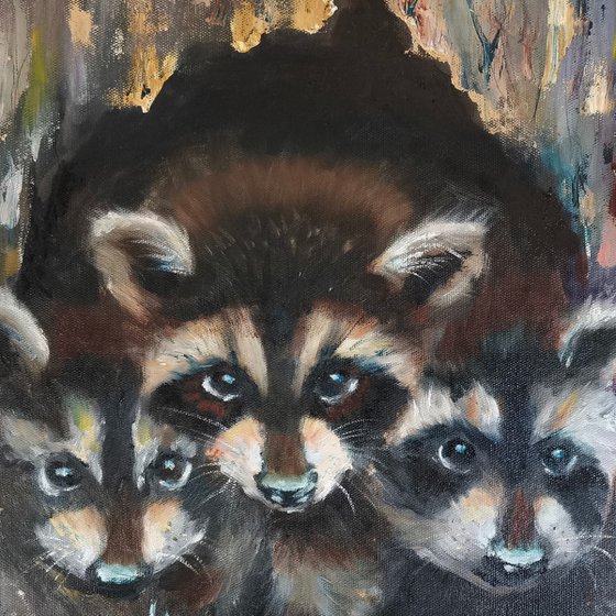 Raccoon Family