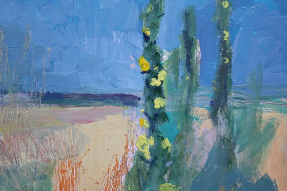 Wild Meadow