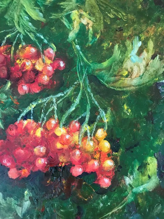 Red Viburnum