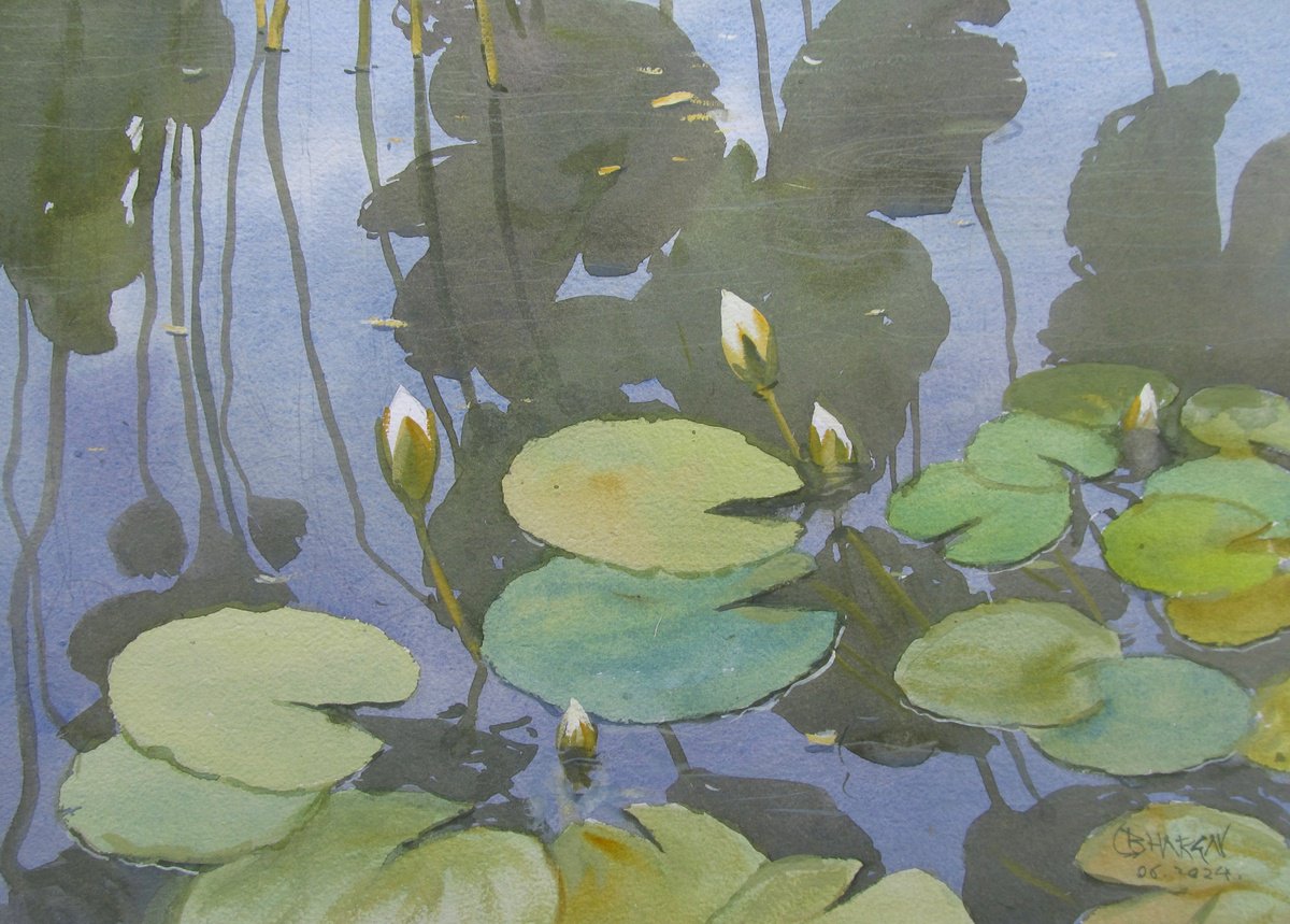 Impressionistic Landscape Watercolour By Bhargavkumar Kulkarni, 17 X 12, Lotus Pond 2, Original Artwork