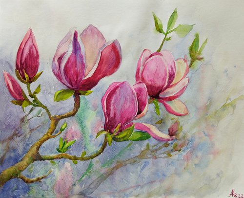 Magnolia by Ann Krasikova