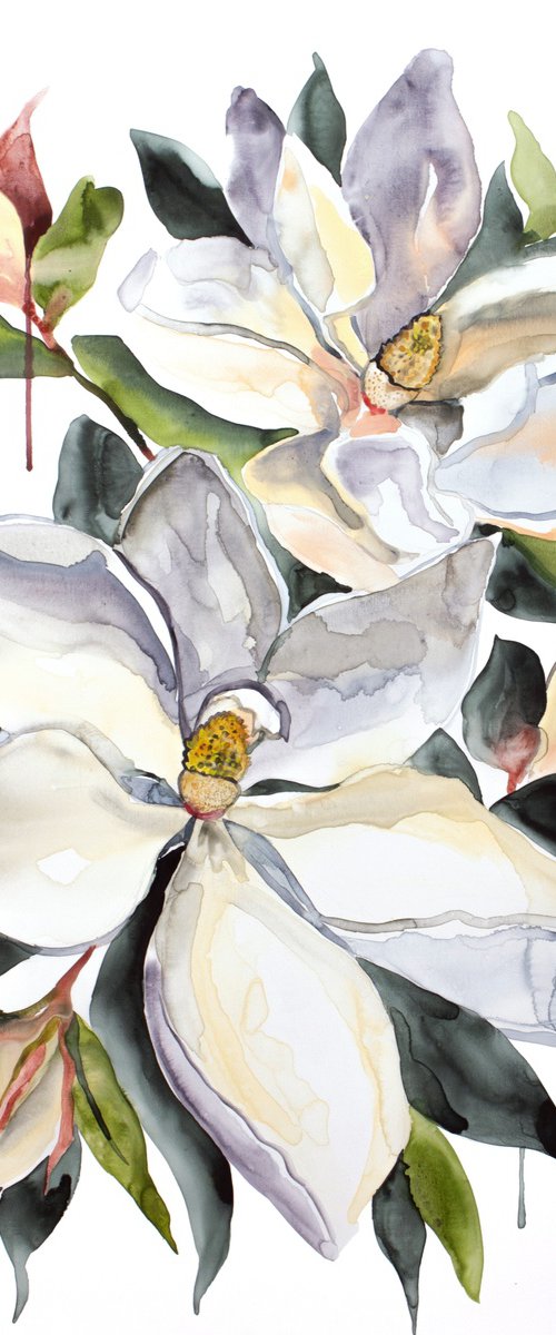 Magnolia No. 70 by Elizabeth Becker
