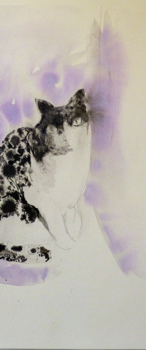 The Cat in purple, 29x42 cm by Frederic Belaubre