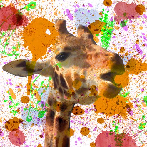 Splattered Giraffe by Martin  Fry