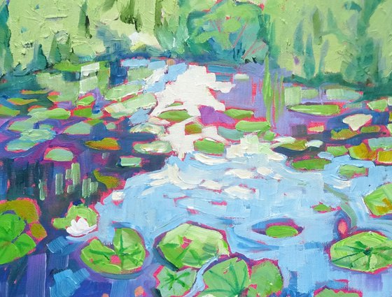 Waterlilies and Willows