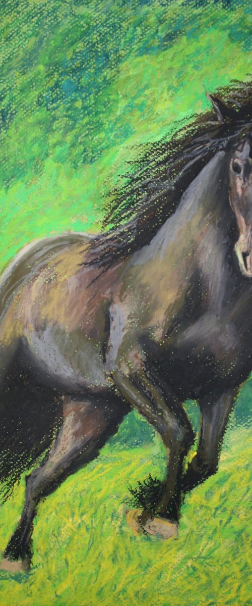 Horse / FROM THE ANIMAL PORTRAITS SERIES / ORIGINAL OIL PASTEL PAINTING by Salana Art Gallery