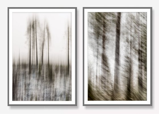 Diptych n.4