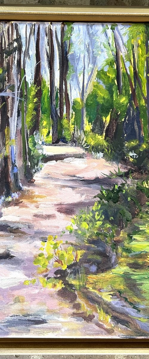 Sunlit Path by Annette Wolters