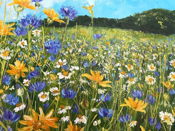 The Meadow at Blean