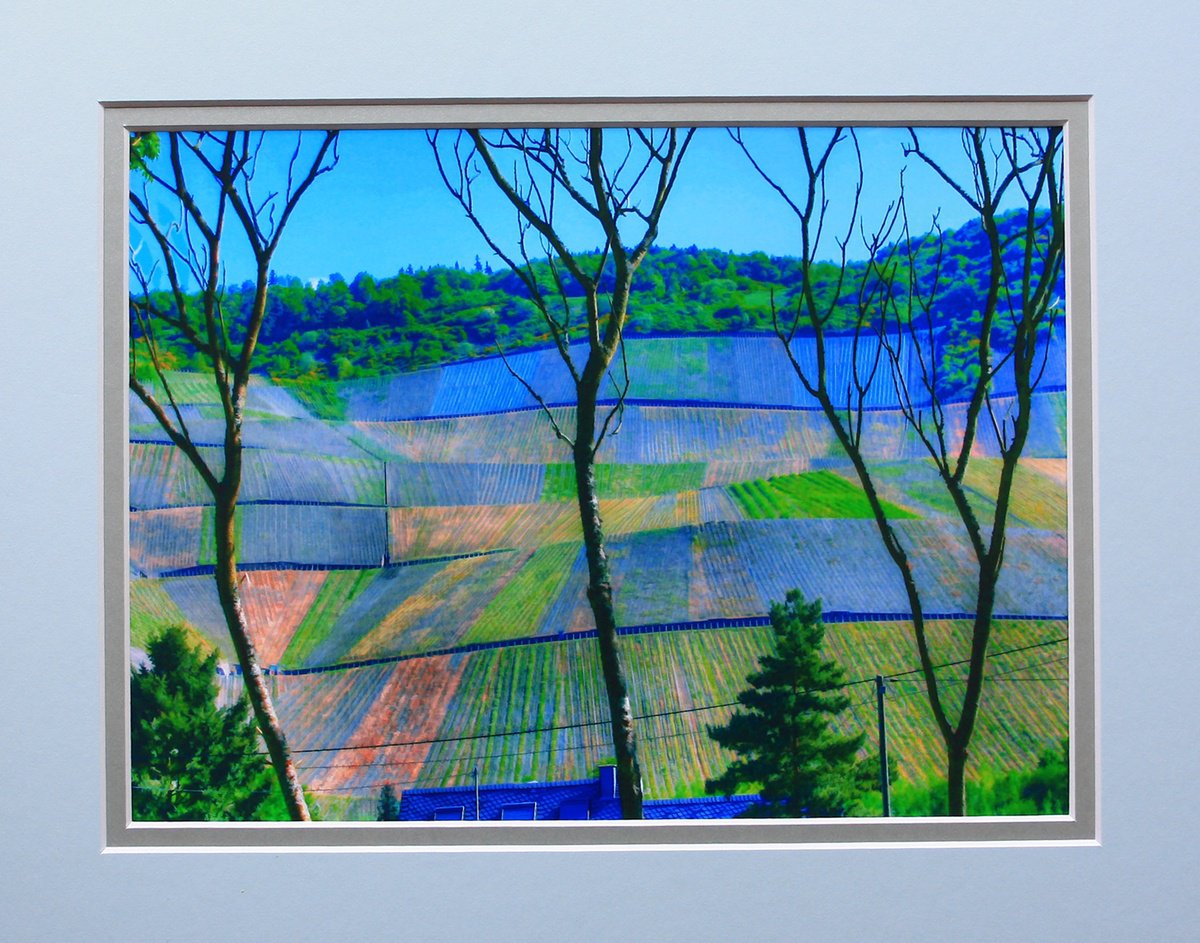 Photorealistic Landscape Photograph By Robin Clarke, 14 X 11", Vineyards Moselle Germany, Original Artwork