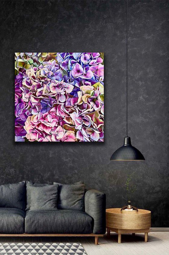 Awakening of the Hydrangea