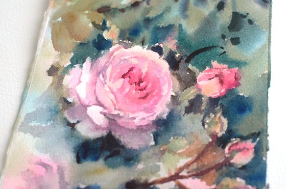 Watercolor English roses, Pink flowers on green