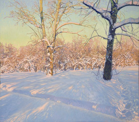 Poplars in February. Tsaritsyno