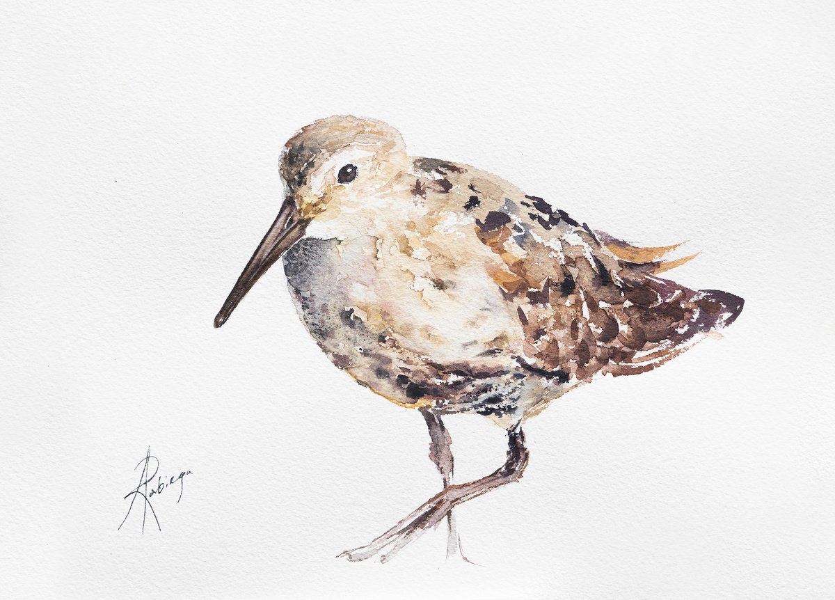 Naive Animal Watercolour By Andrzej Rabiega, 12 X 9, Dunlin, Original Artwork
