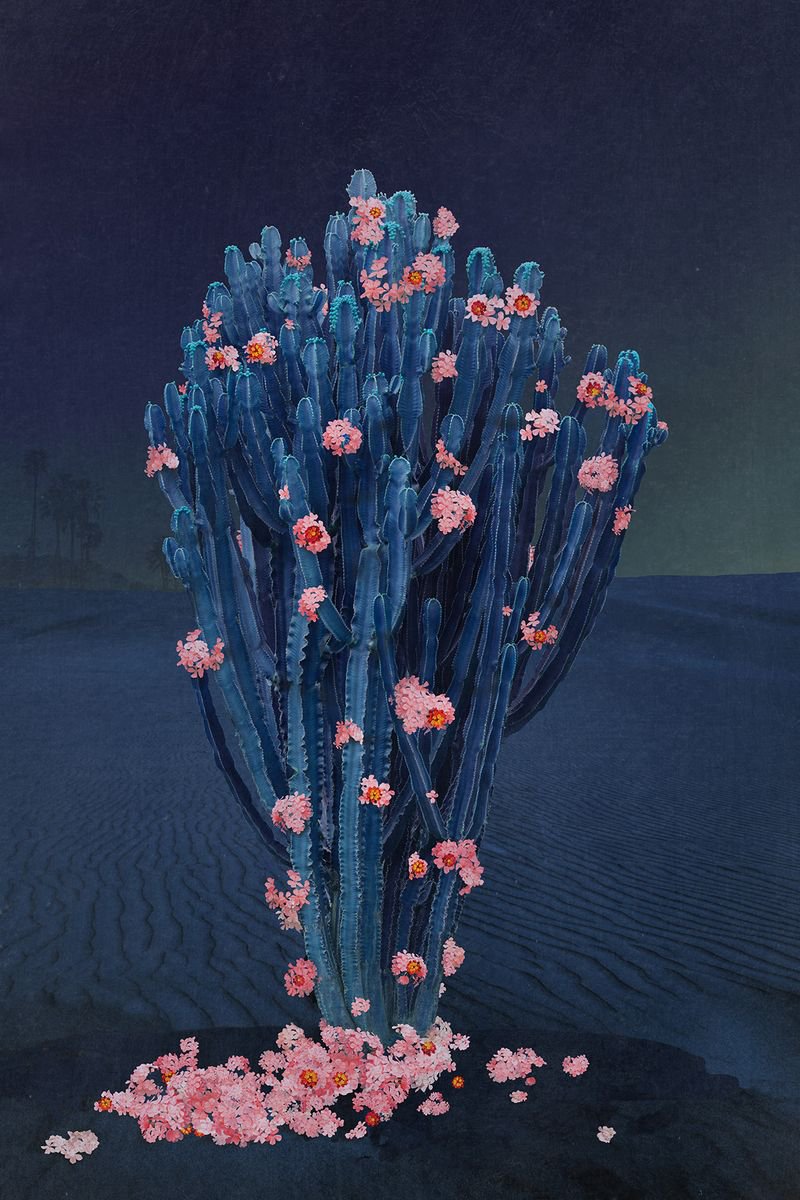 Surrealistic Botanical Photograph By Nadia Attura, 28 X 39", Cactus Nights, Original Artwork