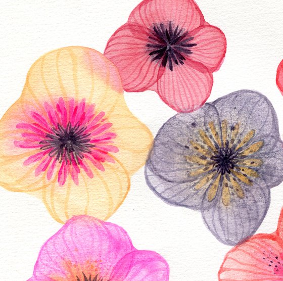 Watercolor abstract poppies