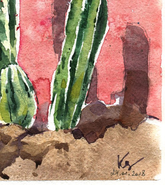 Watercolor sketch "Cacti against a bright wall" original illustration