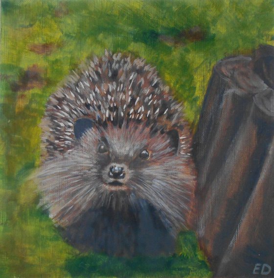 Hedgehog in Oil