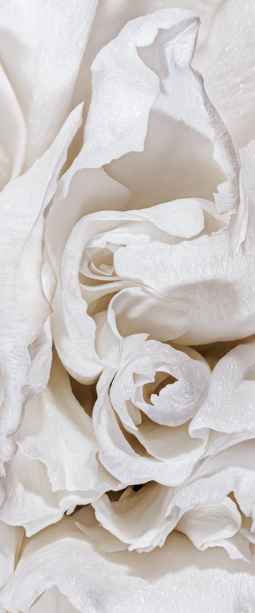 Creamy Passion by Inna Etuvgi