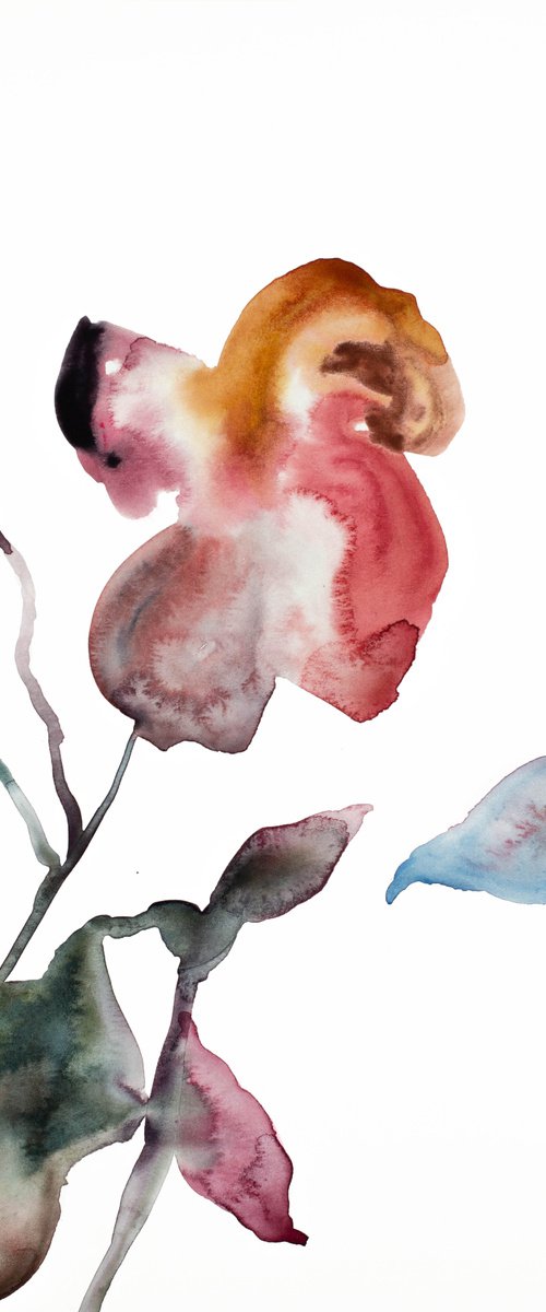 Rose Study No. 41 by Elizabeth Becker