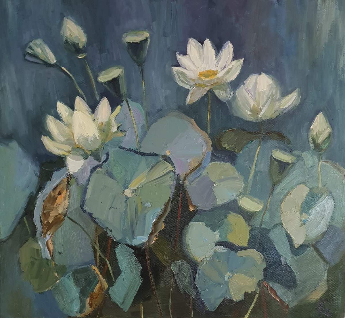 Impressionistic Botanical Oil Painting By Olena Kolotova, 26 X 24", Water Flowers "Lotus", Original Artwork