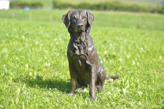 Golden Retriever Bronze Resin
