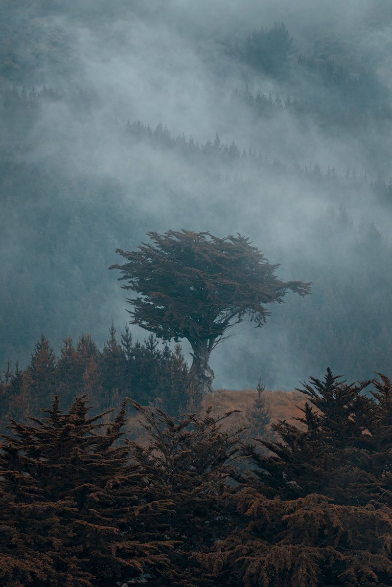 Photorealistic Cityscapes Photograph By Nick Psomiadis, 43 X 65", Kohu, Original Artwork