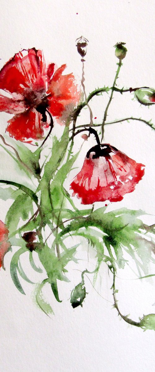 Summer poppies by Kovács Anna Brigitta