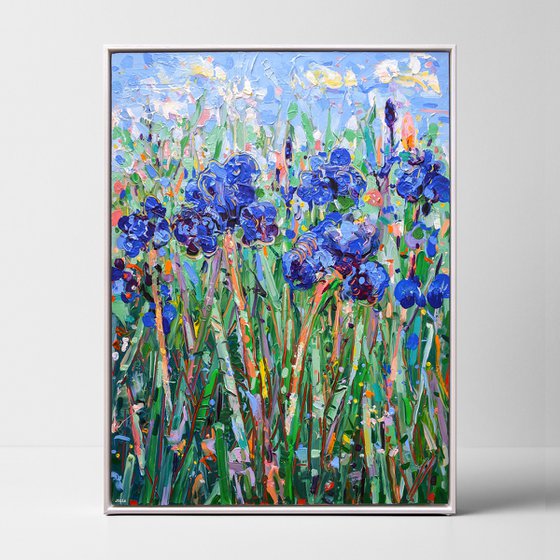 Blue Irises 4 - Framed