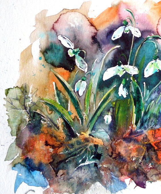 Snowdrops II