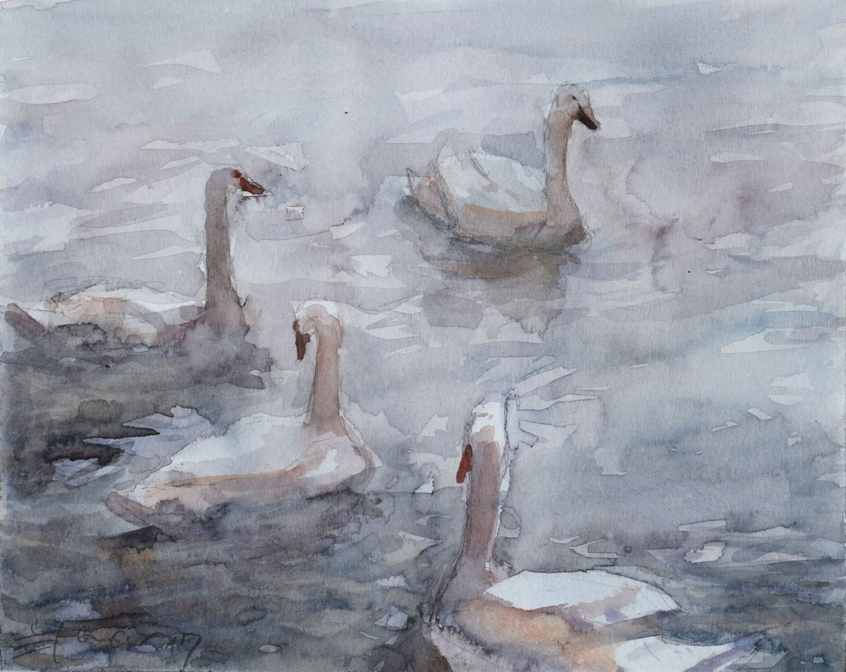 Animal Watercolour By Goran Zigolic Watercolors, 11 X 9, Swan Lake, Original Artwork