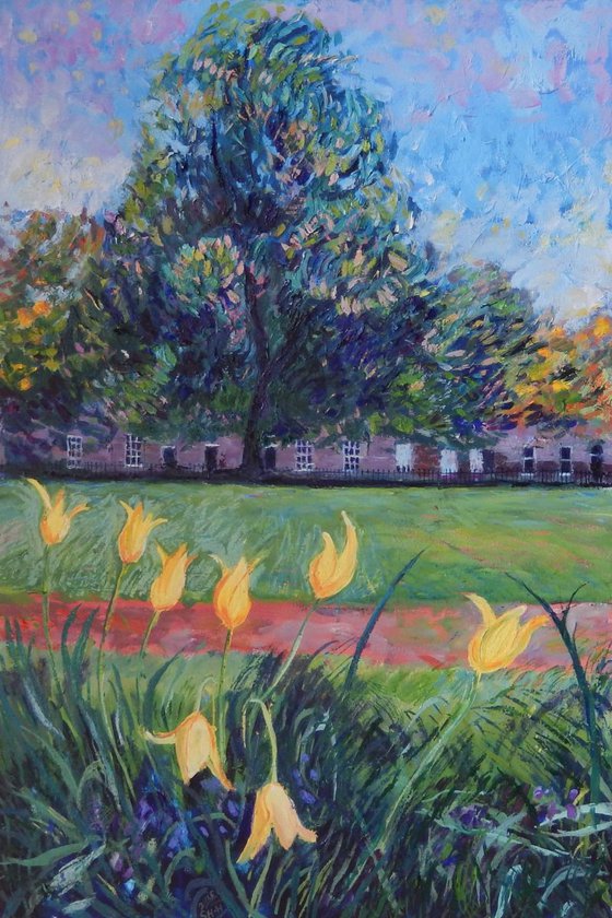 Tulips In Saxe Coburg Place, Edinburgh' - Oil paint on canvas - 50x76