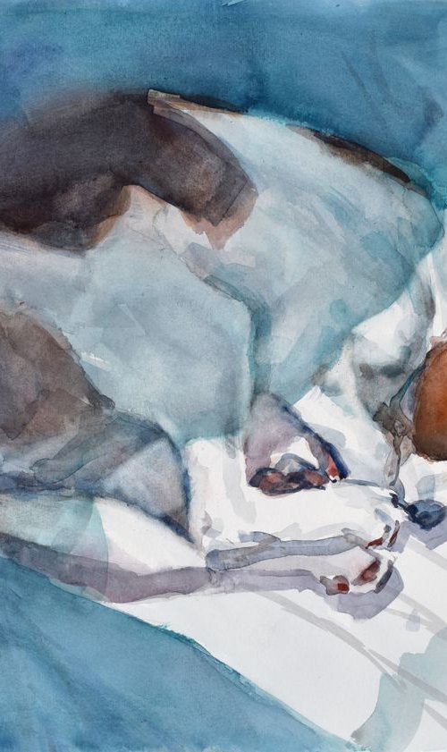 Deep sleeping dog II.... by Goran Žigolić Watercolors