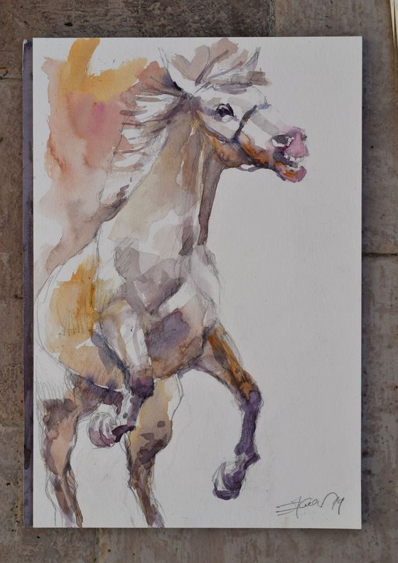 Prancing horse study 4