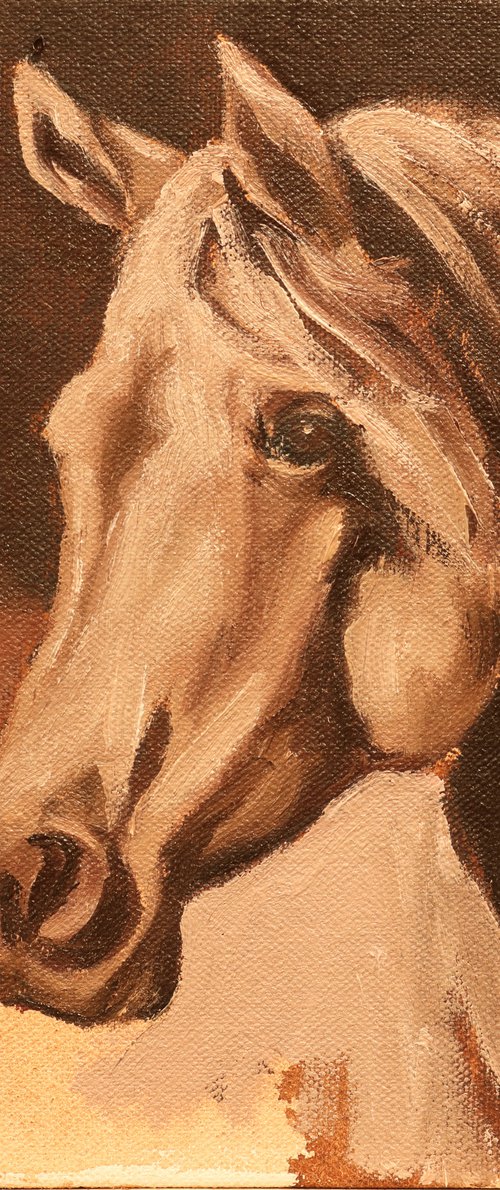 Equine Head Arab Chestnut (study 26) by Zil Hoque
