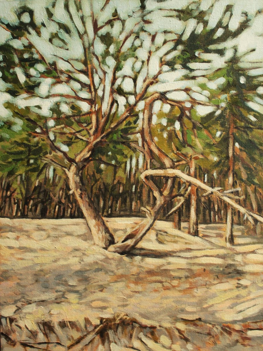 Impressionistic Landscape Acrylic Painting By Joanna Plenzler, 12 X 16, Dune Forest, Original Artwork