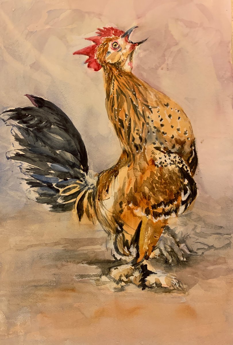 Impressionistic Animal Watercolour By Yoshiko Murdick, 15 X 22", Cock-A-Doodle-Do, Original Artwork