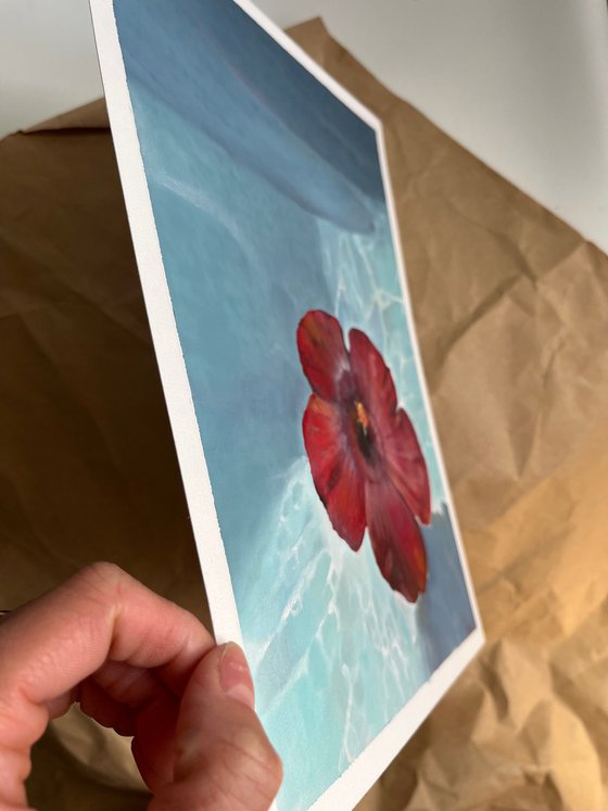 Hibiscus Water Sunlight