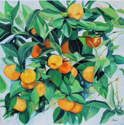 Clementines by Afekwo